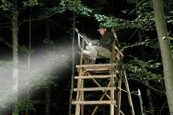 Akku LED Handscheinwerfer mit 5 W Cree LED, 330 Lumen, IP54 - 5