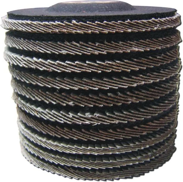 Lamellen Schleifscheiben Durchm. 115 mm - 10 tlg. Set - 1