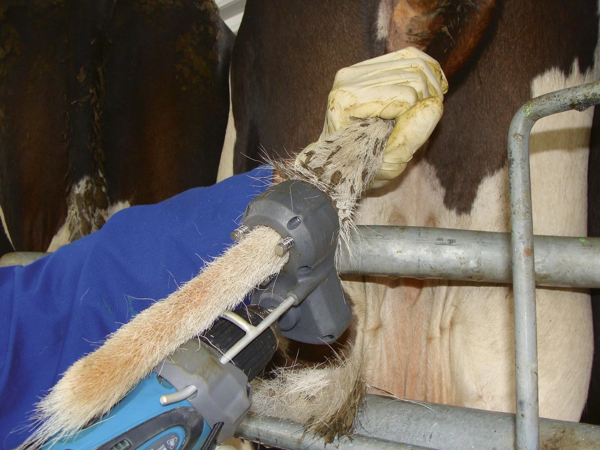 Tail Trimmer Tailwell II - 6