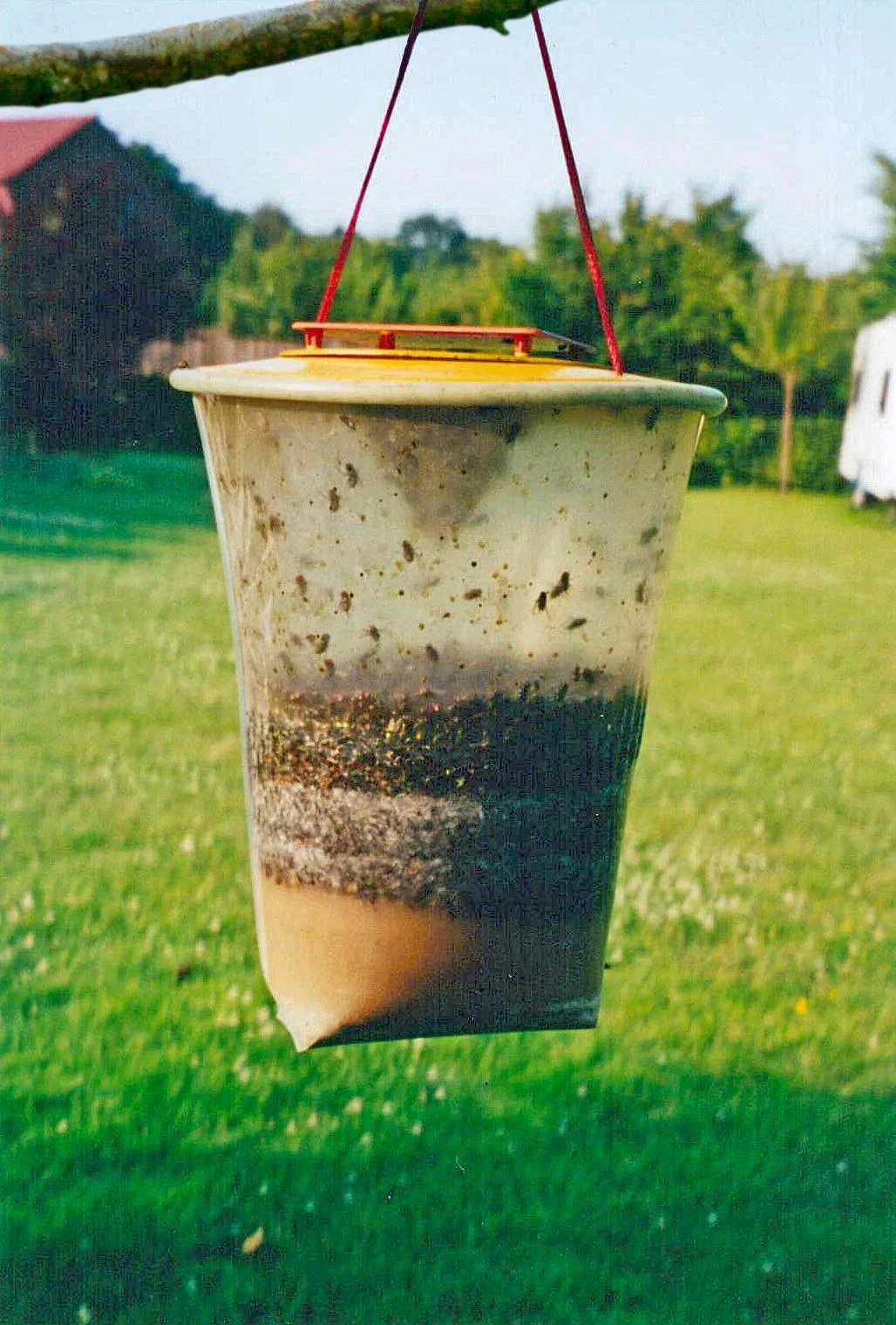 Fliegenfalle, Gr. L, 3 l - Einwegfalle - 6