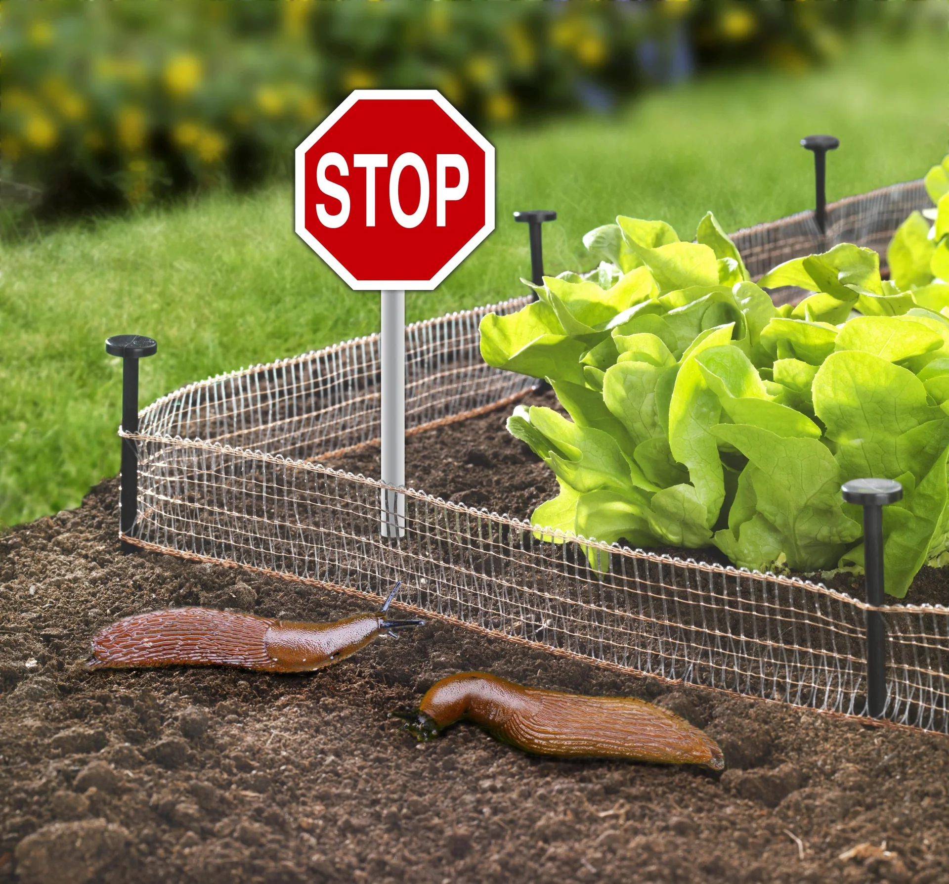 Schnecken Stop, 8 m Kupferband + 8 Erdnägel - 2