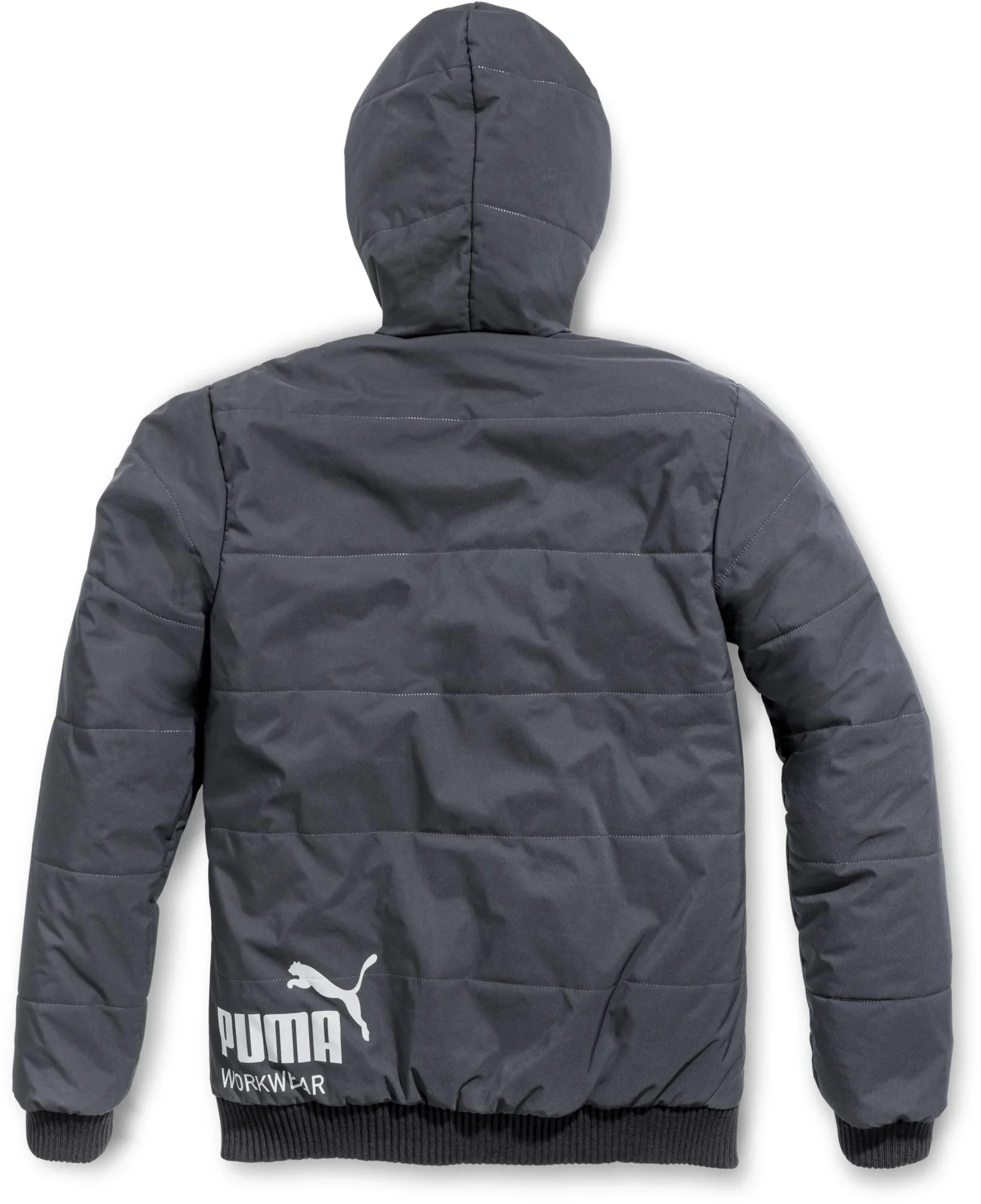 Winterparka CHAMP, carbon, XL - 2