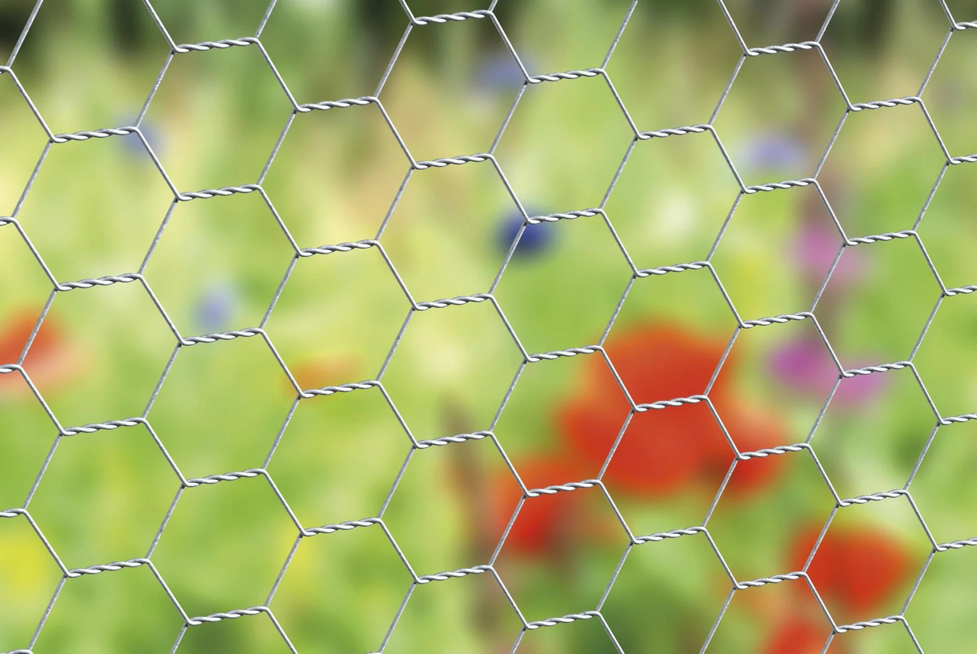 Sechseckgeflecht verzinkt, 100cm x 25m, 25x25mm, 0,8mm - 2