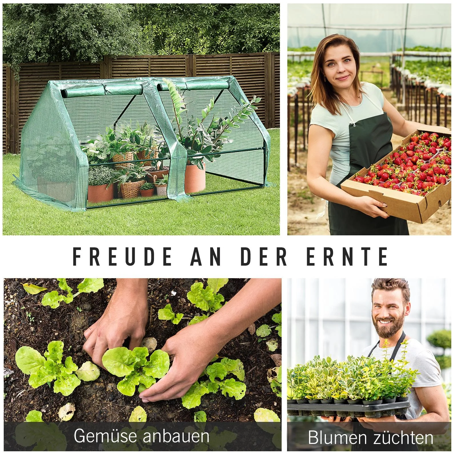 Mini-Gewächshaus mit 2 Türen - 6