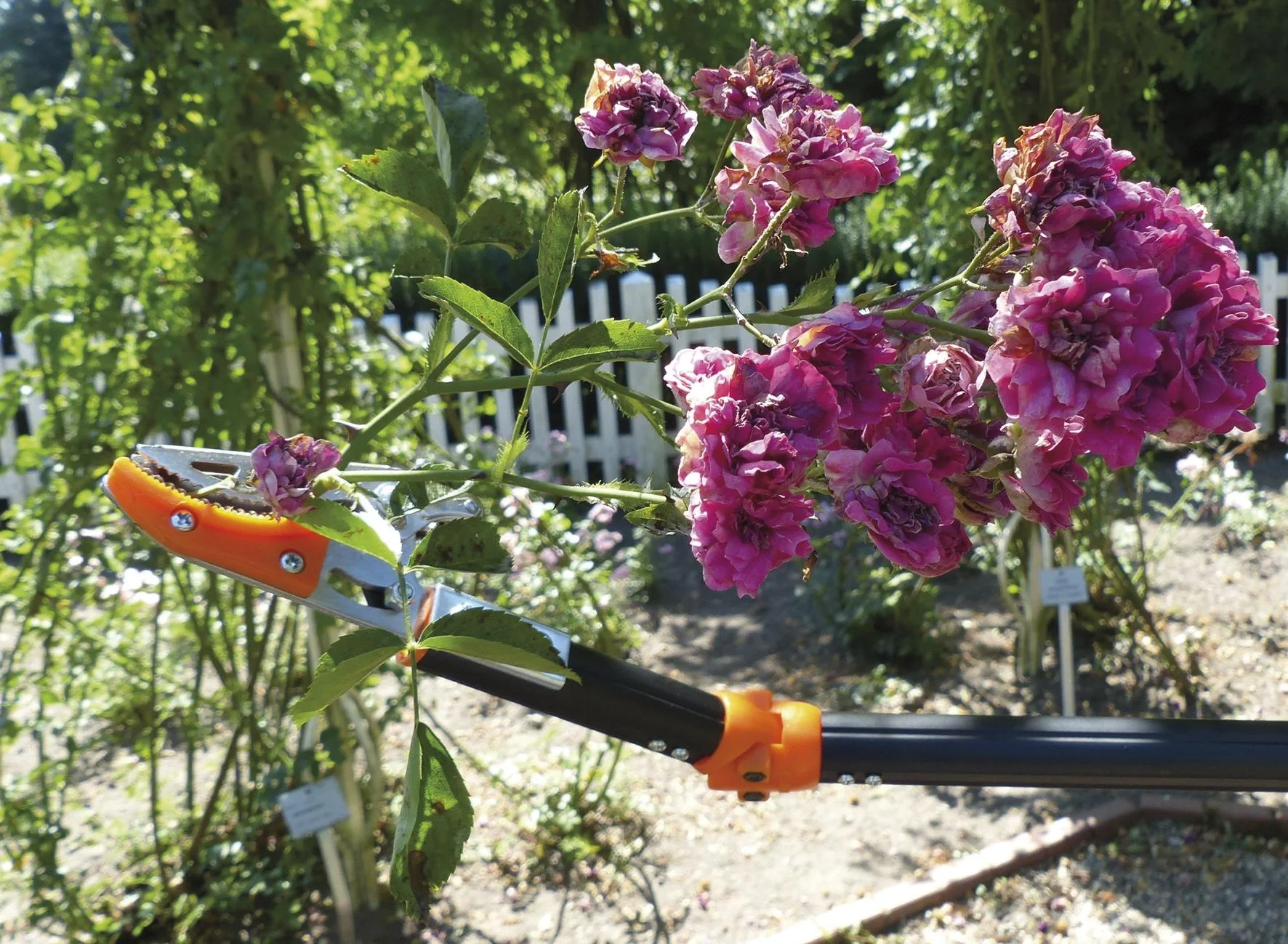 Rosenscheren Set - Rosenkavalier und Rosenwunderschere - 8