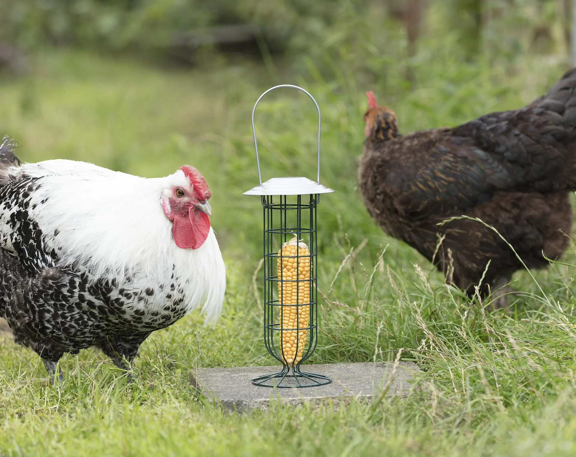 Universal-Futterröhre stehend - 3