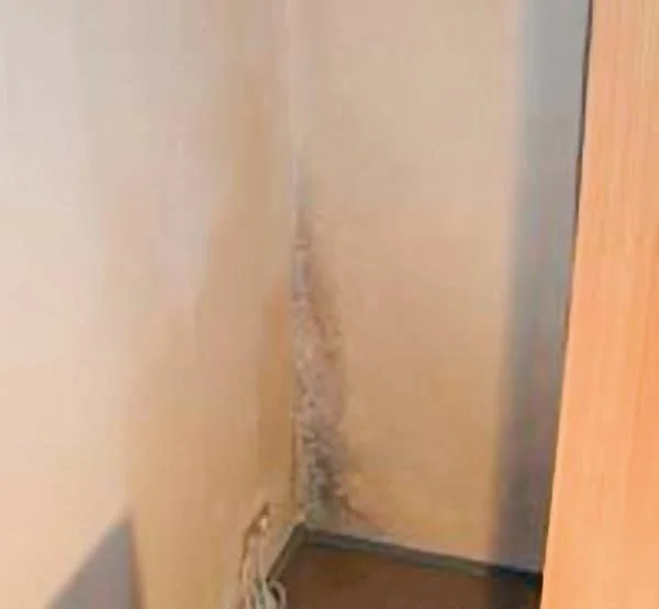 Schimmelstop, 500 ml Sprühflasche - 8