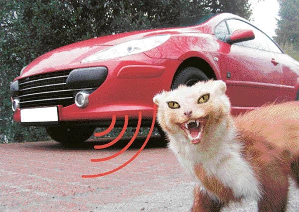 Kfz Marderscheuche mit 12 Volt - M100 neue Version - 3