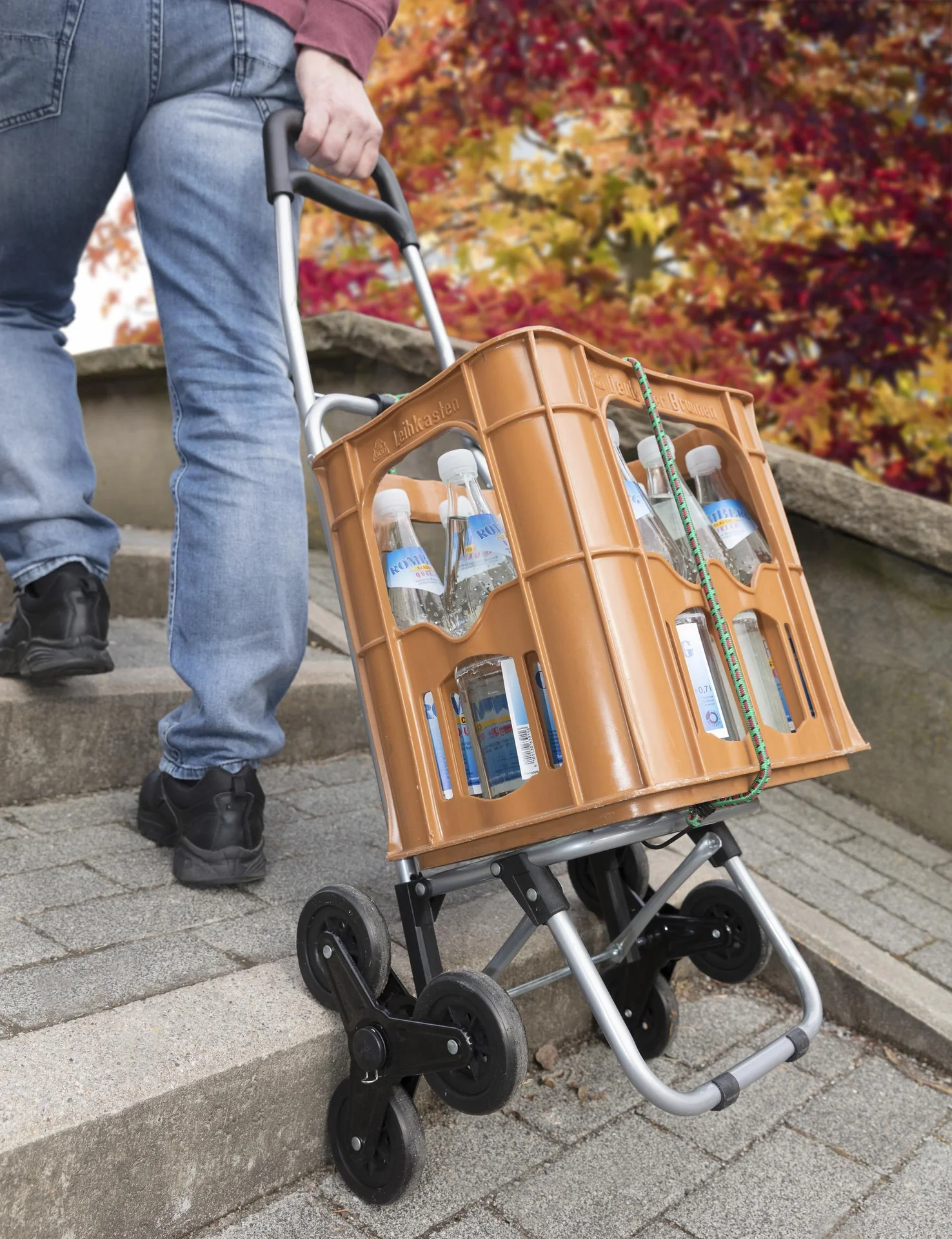 Einkaufsroller/Einkaufswagen VARIO - 7