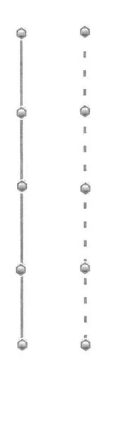 Kletterhilfe + Rankhilfe für die Anzucht und Aufzucht von Pflanzen - 2