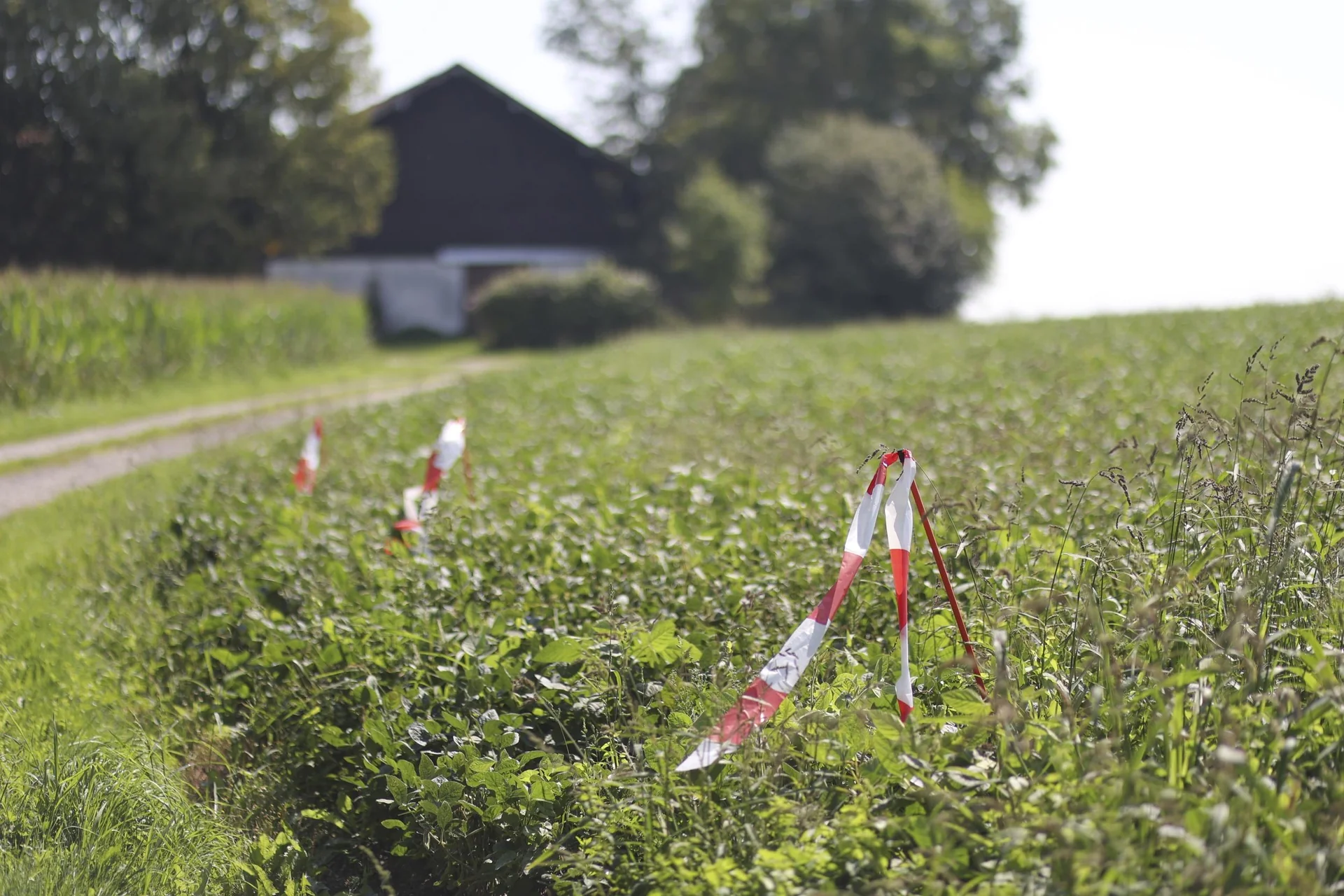 Abwehr-Set, 6-teilig - 4