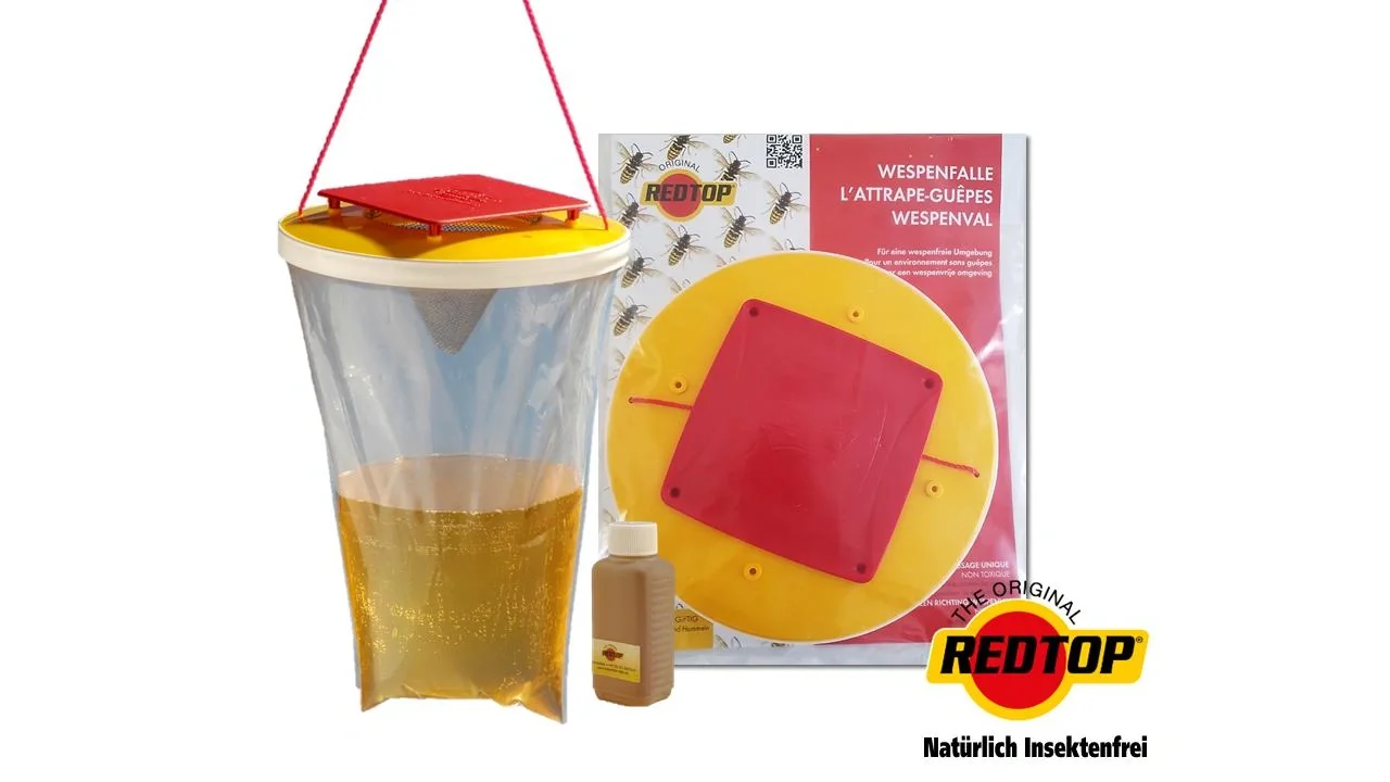 Wespenfalle, Gr. L, 3 Liter - 2