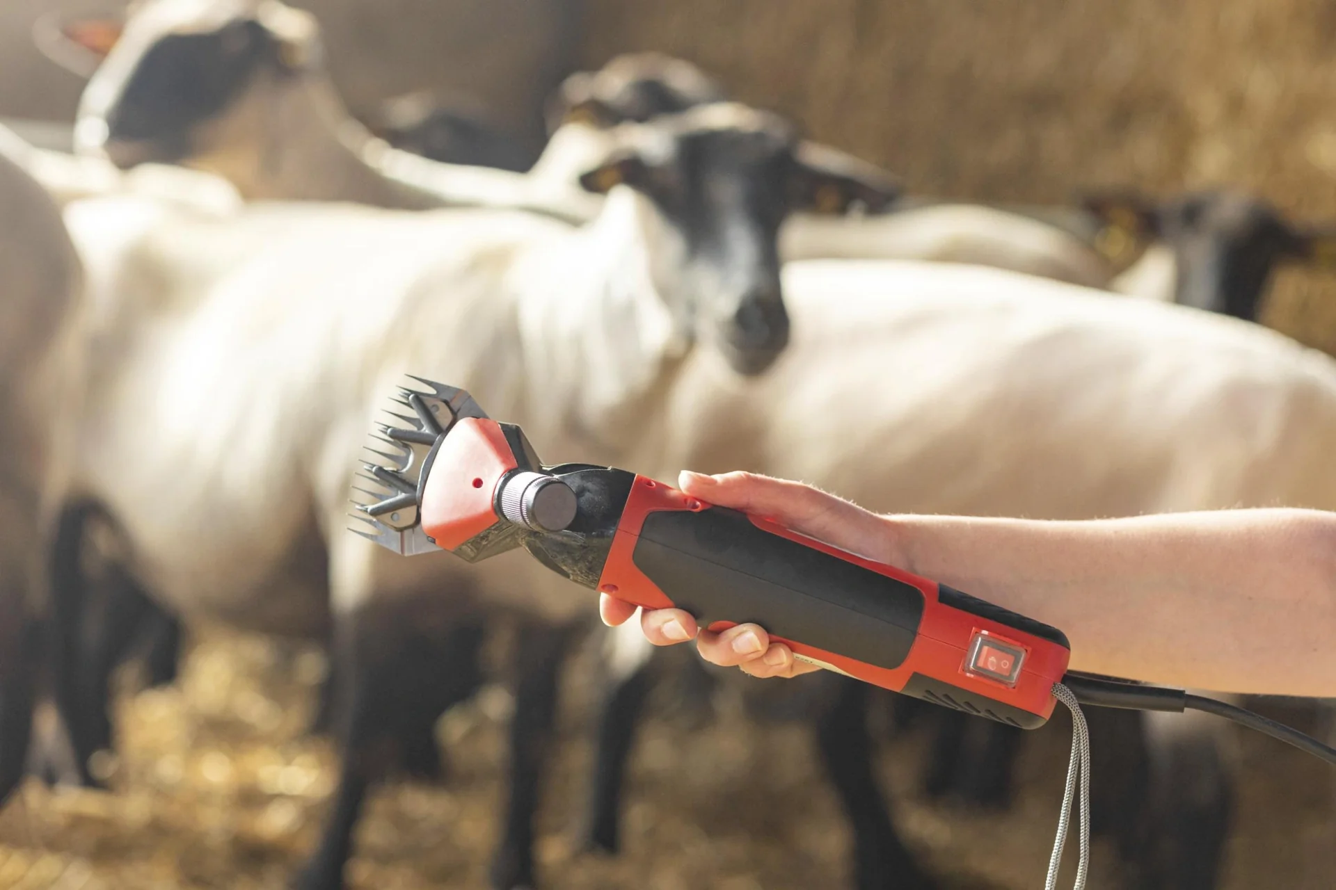 Schafschermaschine FarmClipper Profi - 3