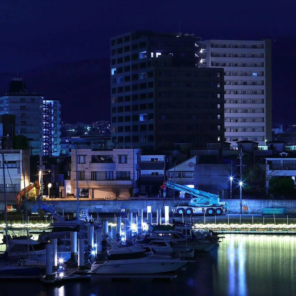 VT-4021 20W Strahler mit blauem Licht - IP65 - Atmosphärische Beleuchtung - 9