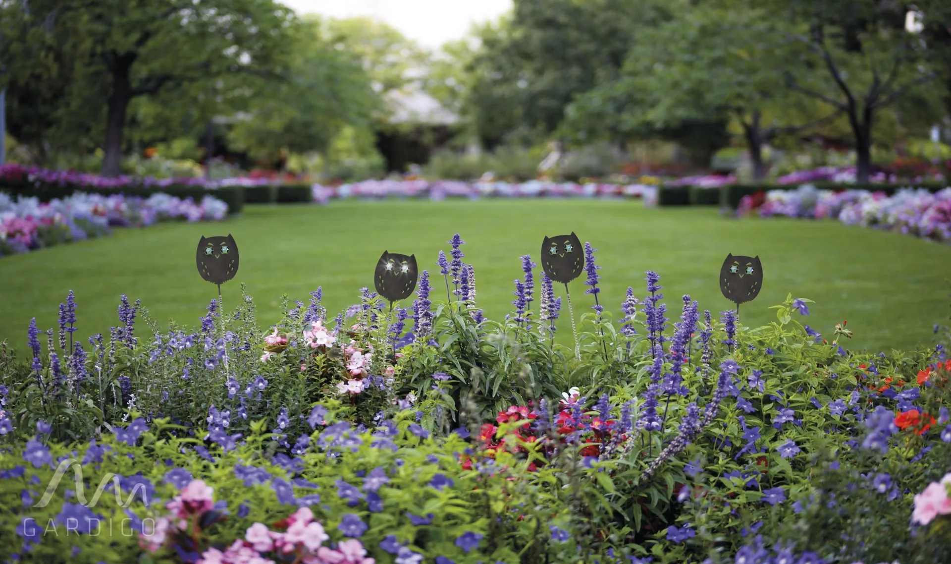 Vogelfrei Eulanda 4er Set - 13