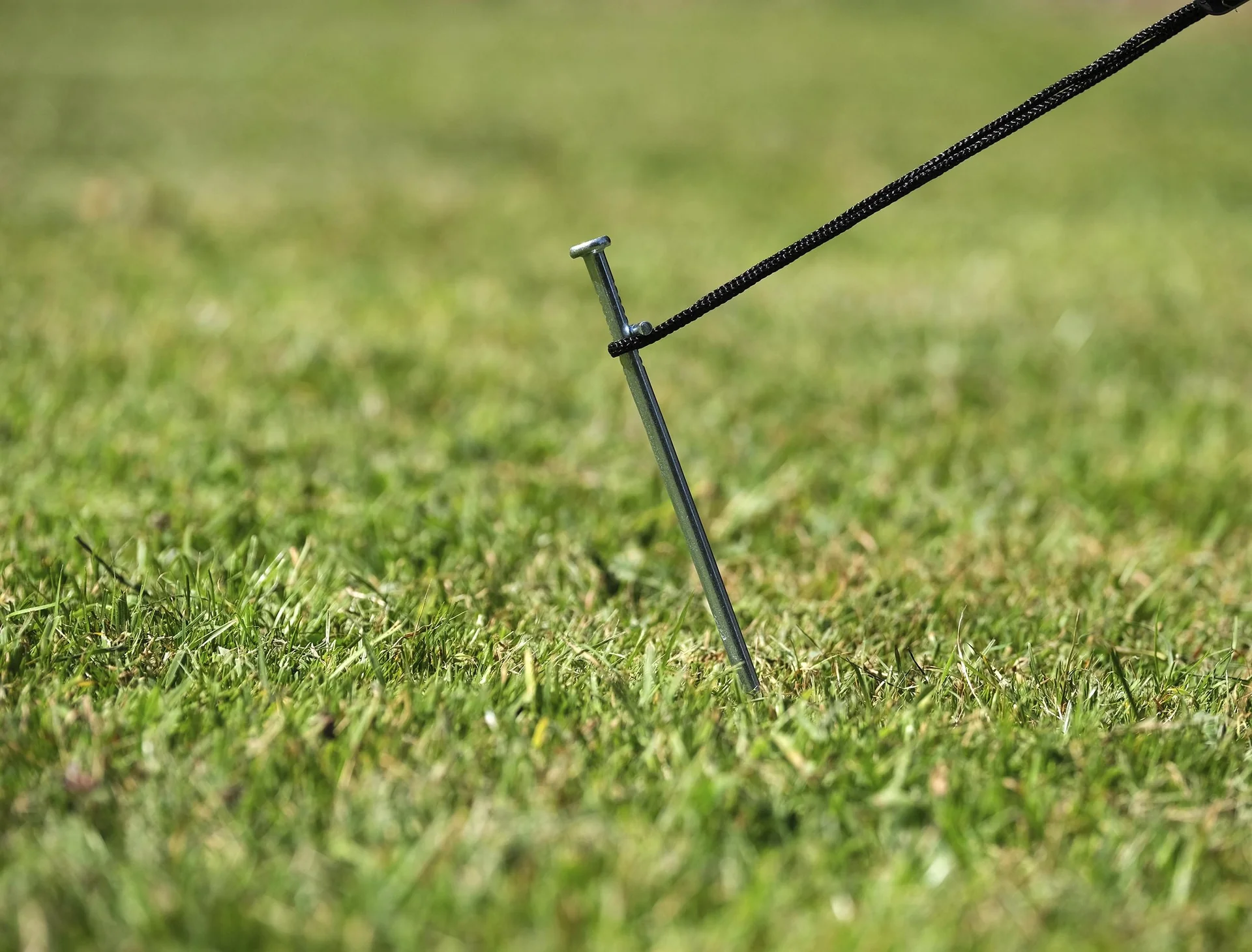 Zeltheringe aus verzinktem Stahl mit Nagelkopf und Quernagel 23cm, 6 mm, 10 Stück - 3