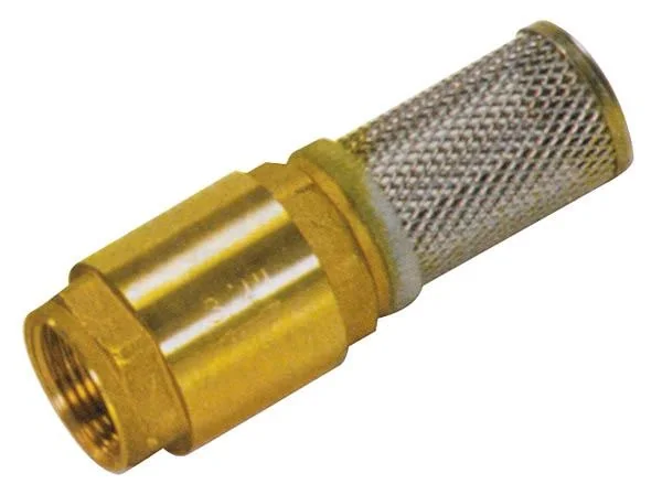 Saugfuß-Rückschlagventil mit Filter - 1