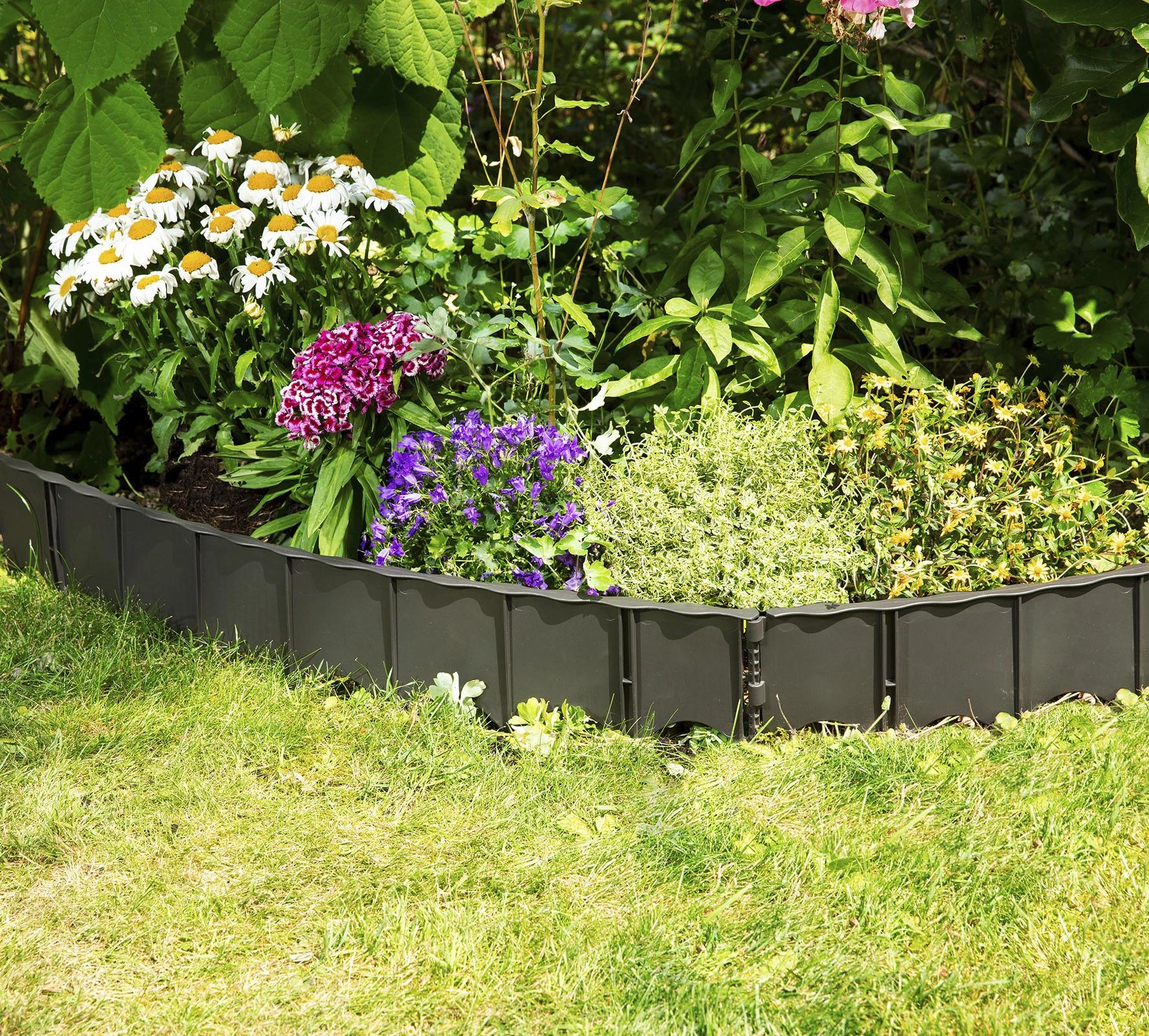 Rasenkante "Edgar" - 8