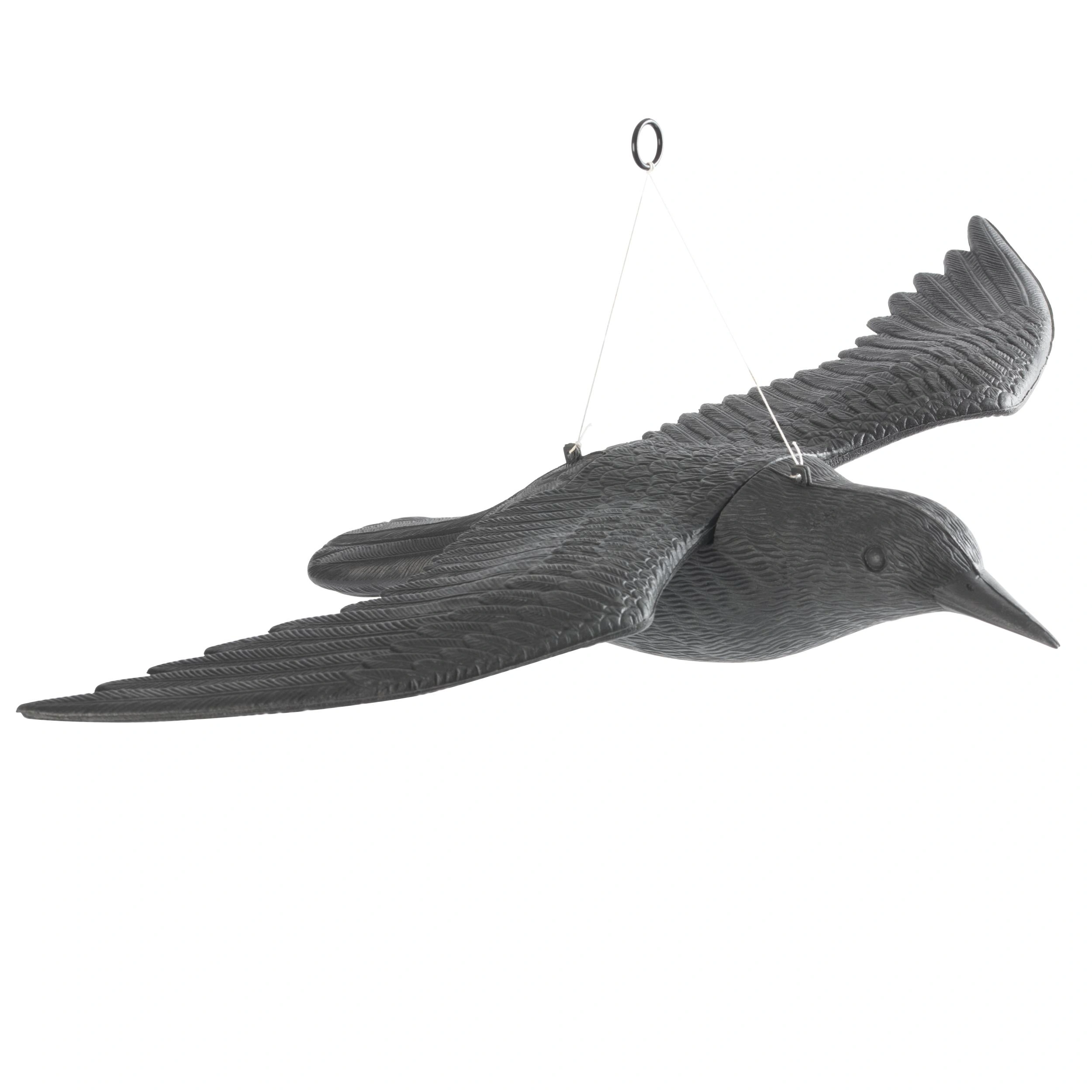 Vogel - Abwehr fliegender Falke - 1