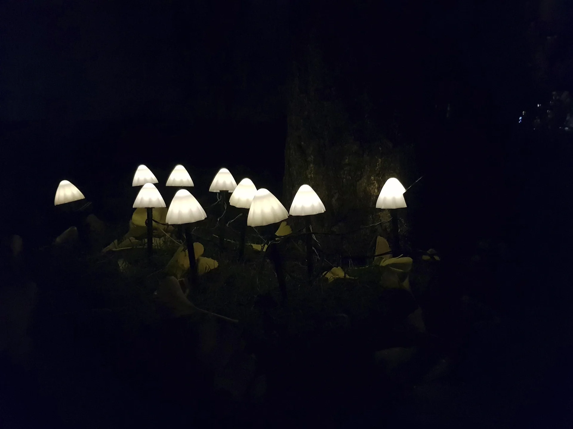 Solar-Lichterkette "Pilz", mit 20 warmweißen LEDs - 7