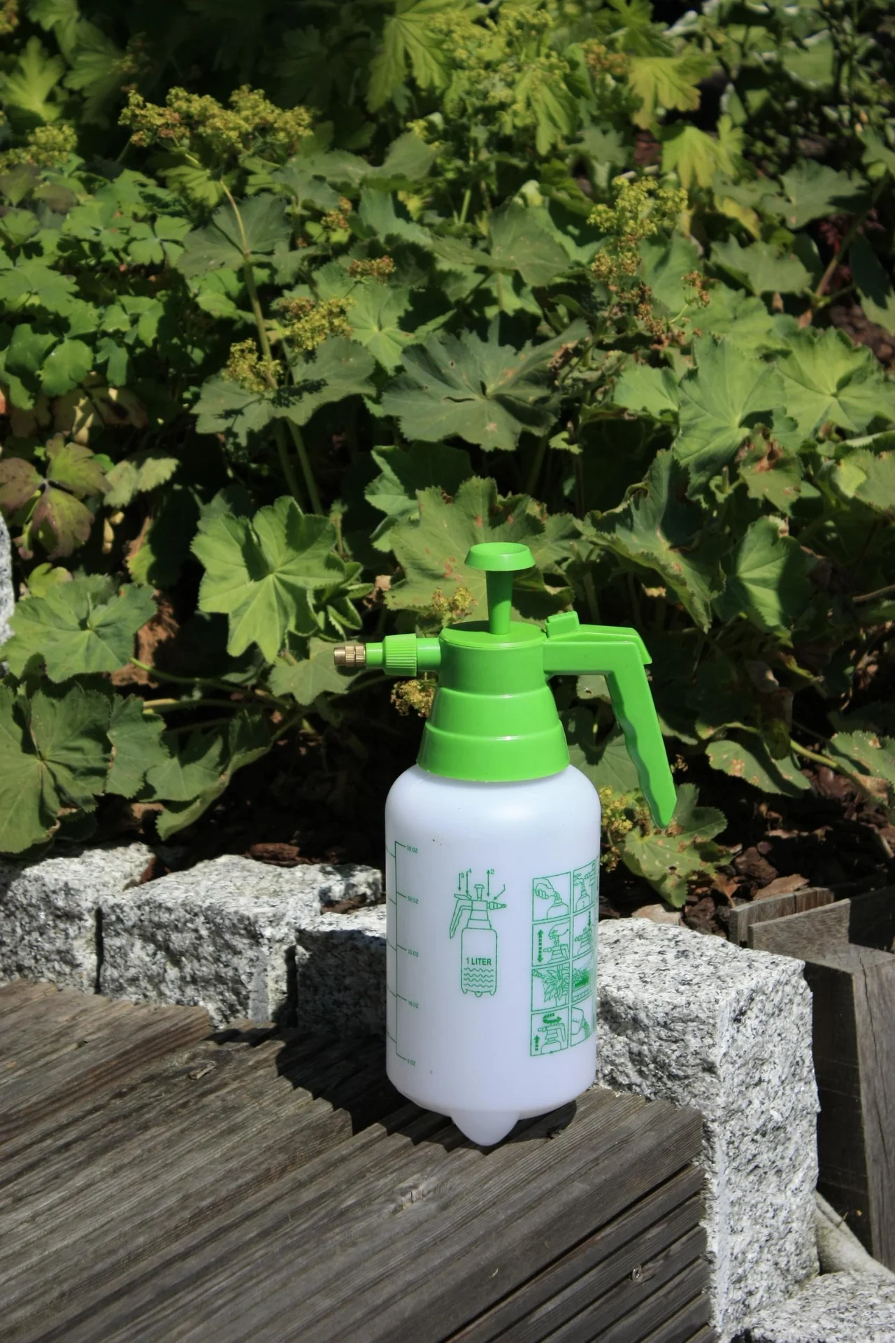 Drucksprüher-Set - 1