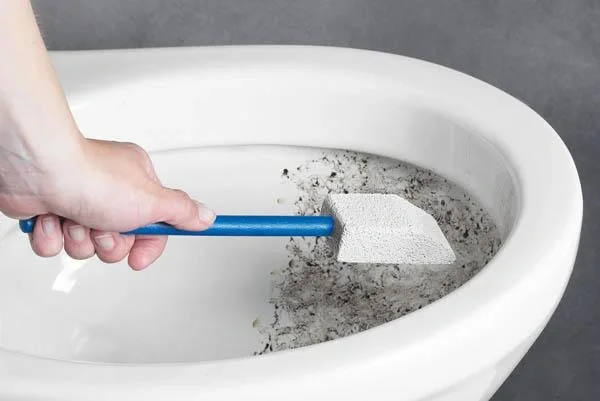 Bimsstein mit Holzstiel - 1