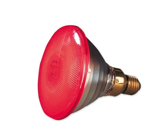 Infrarot Sparlampe 100 W - für Wärmestrahlgeräte - 2