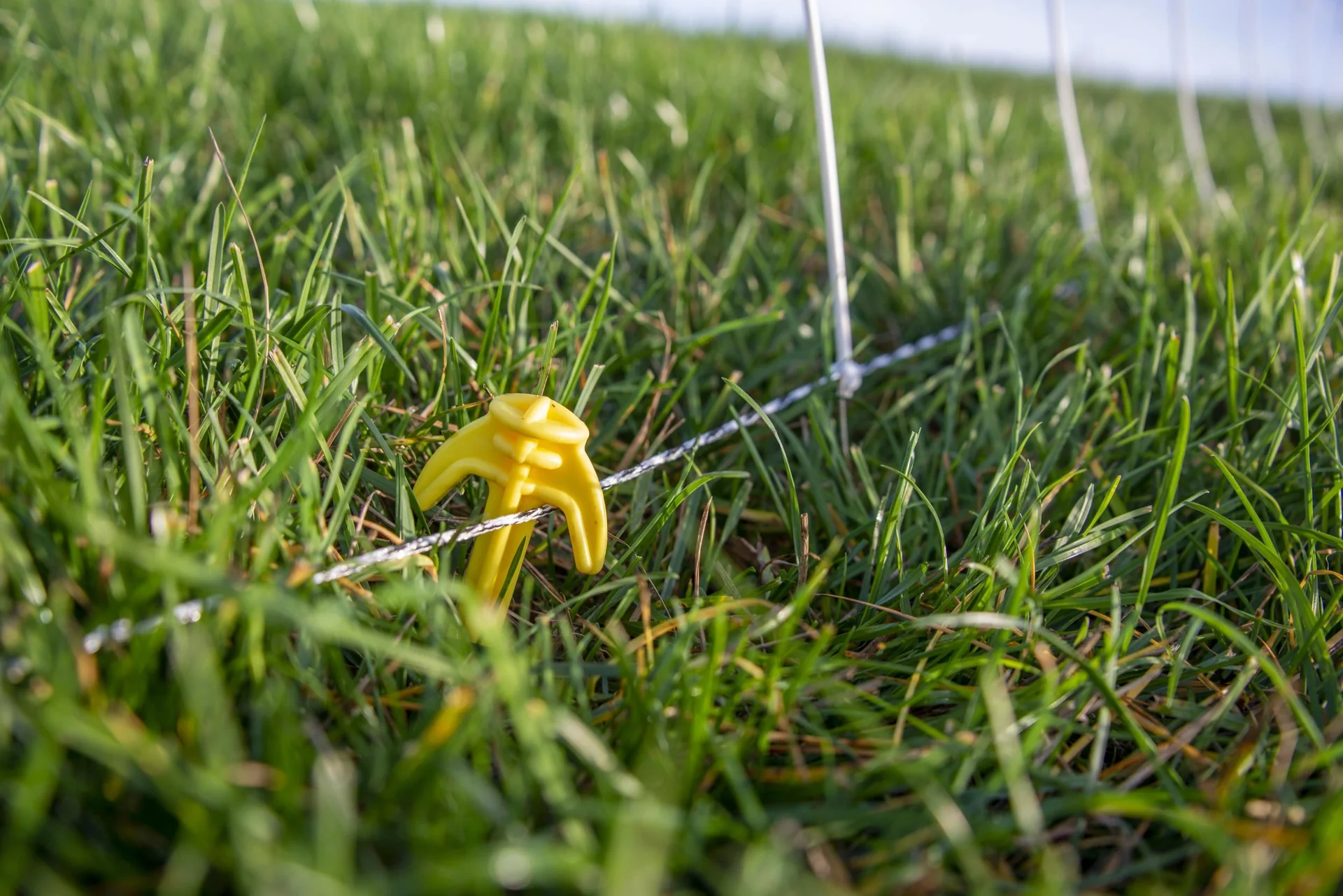 Schafnetz turbomax high energy, 105cm x 50m - 10