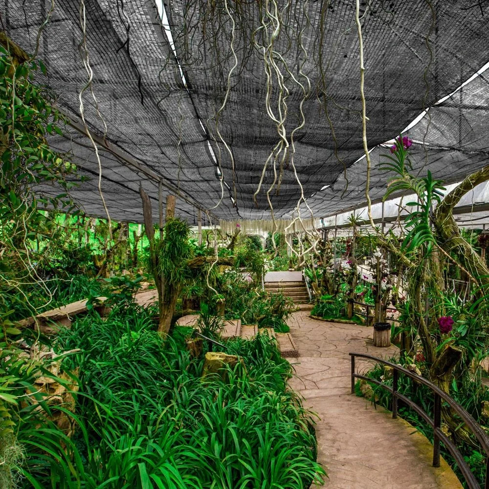 Balkon Sichtschutz Anthrazit 1.4x10m - 6