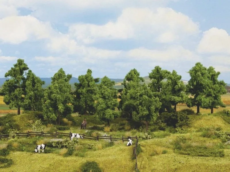 Laubbäume, 16 Stück, 10 - 14 cm hoch - 1