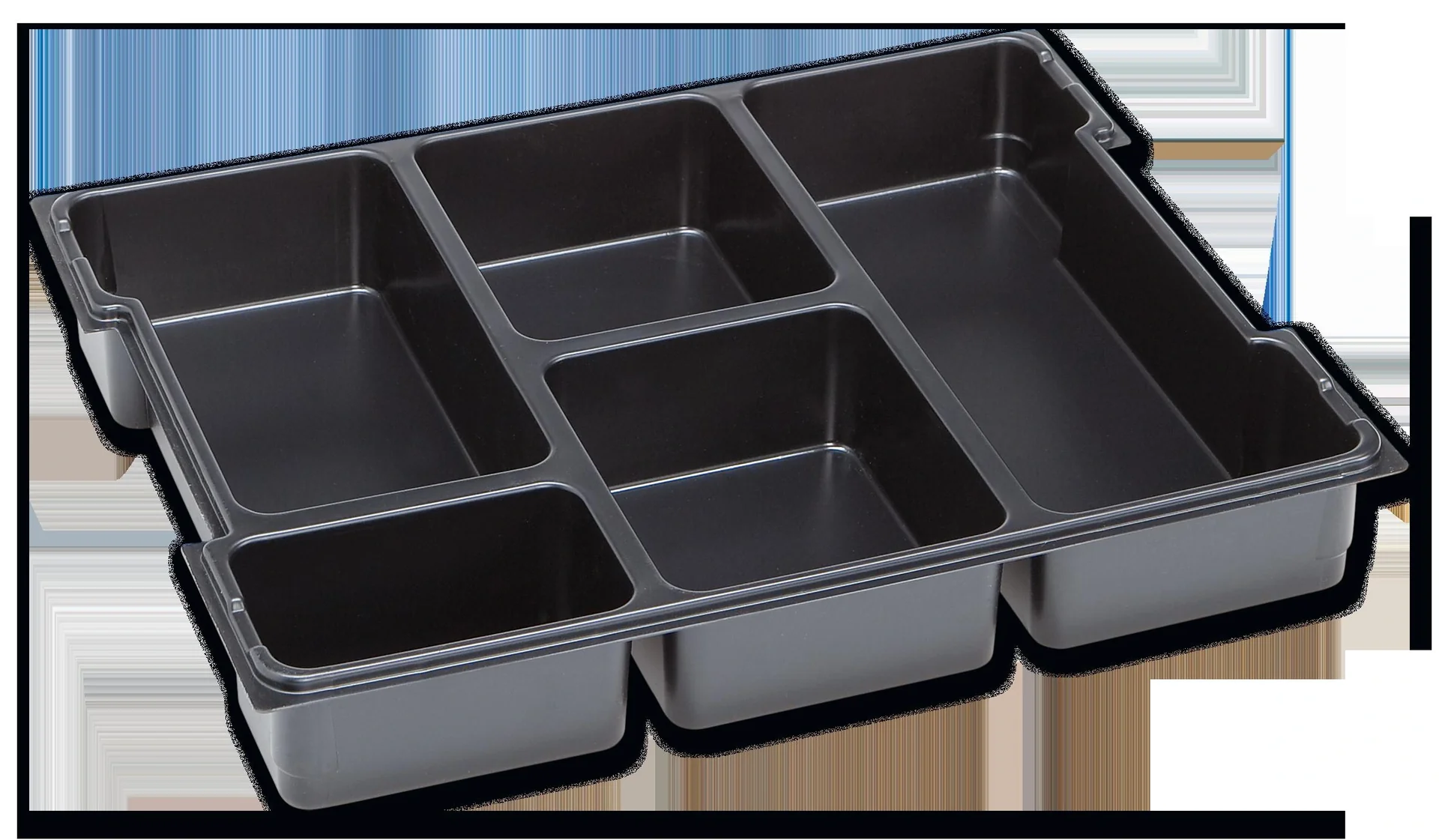 Kleinteileeinsatz 5 Mulden LB 102 BSS - 1