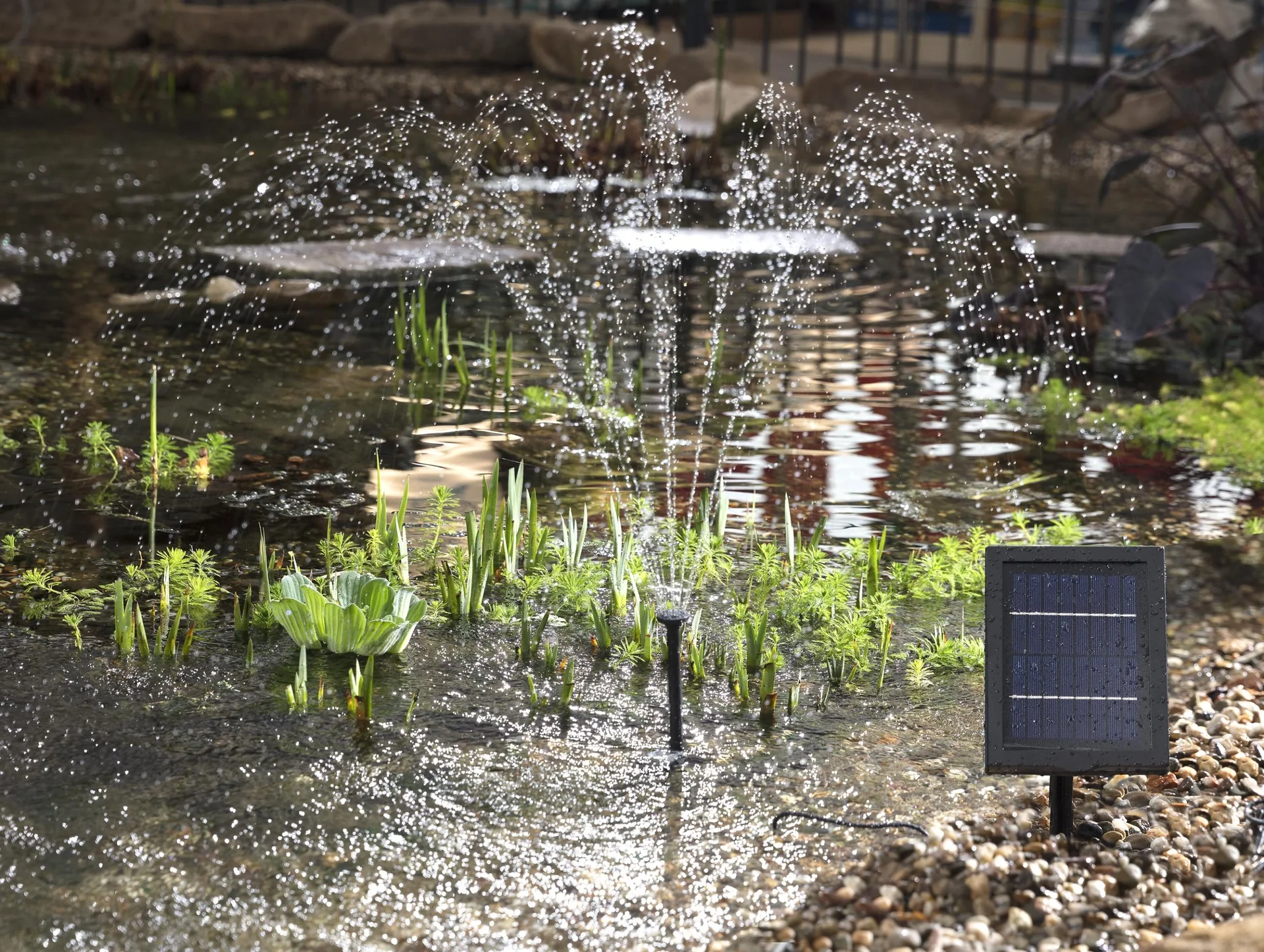 230 l/h Solarpumpe - 4