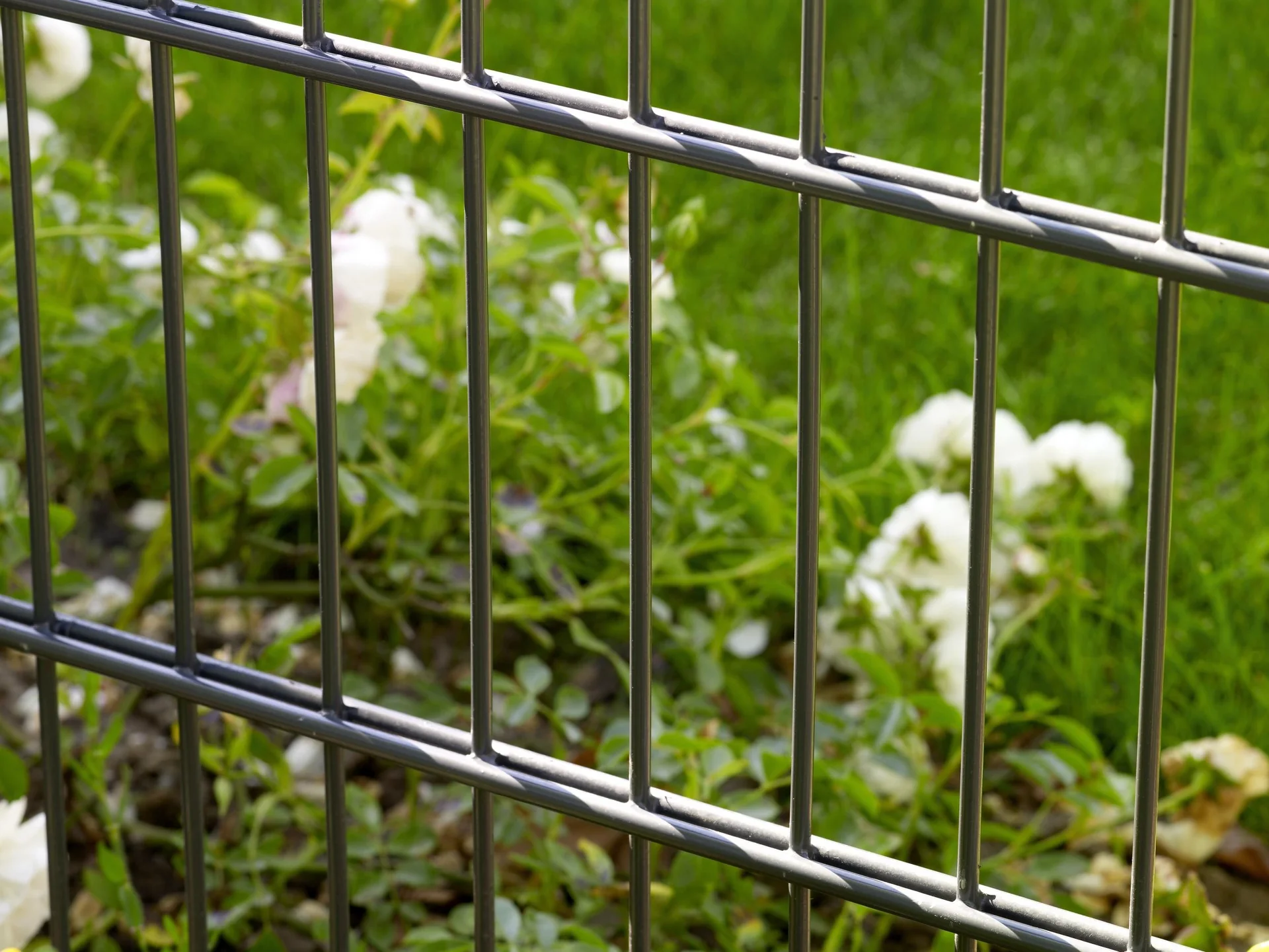 Doppelstabmattenset anthrazit 15 Stück  a 103cm x 200cm - 5