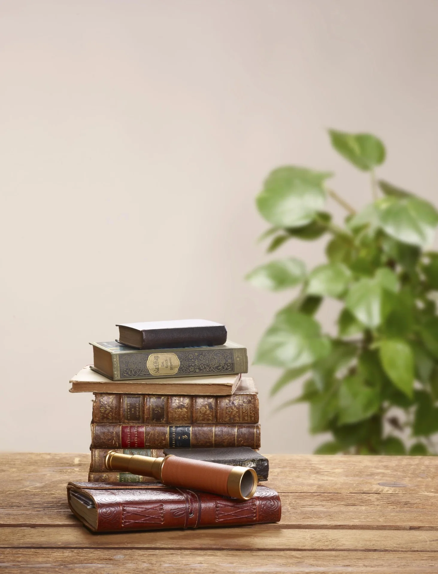 Galileo-Thermometer - 2