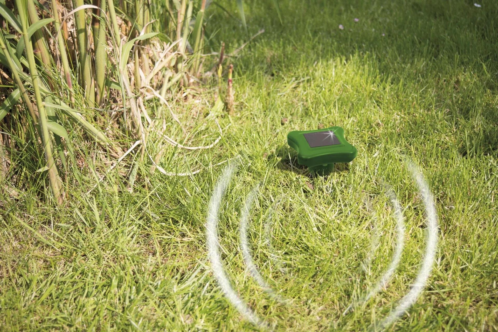 Solar Maulwurfabwehr Alu, 1 Stück - 11