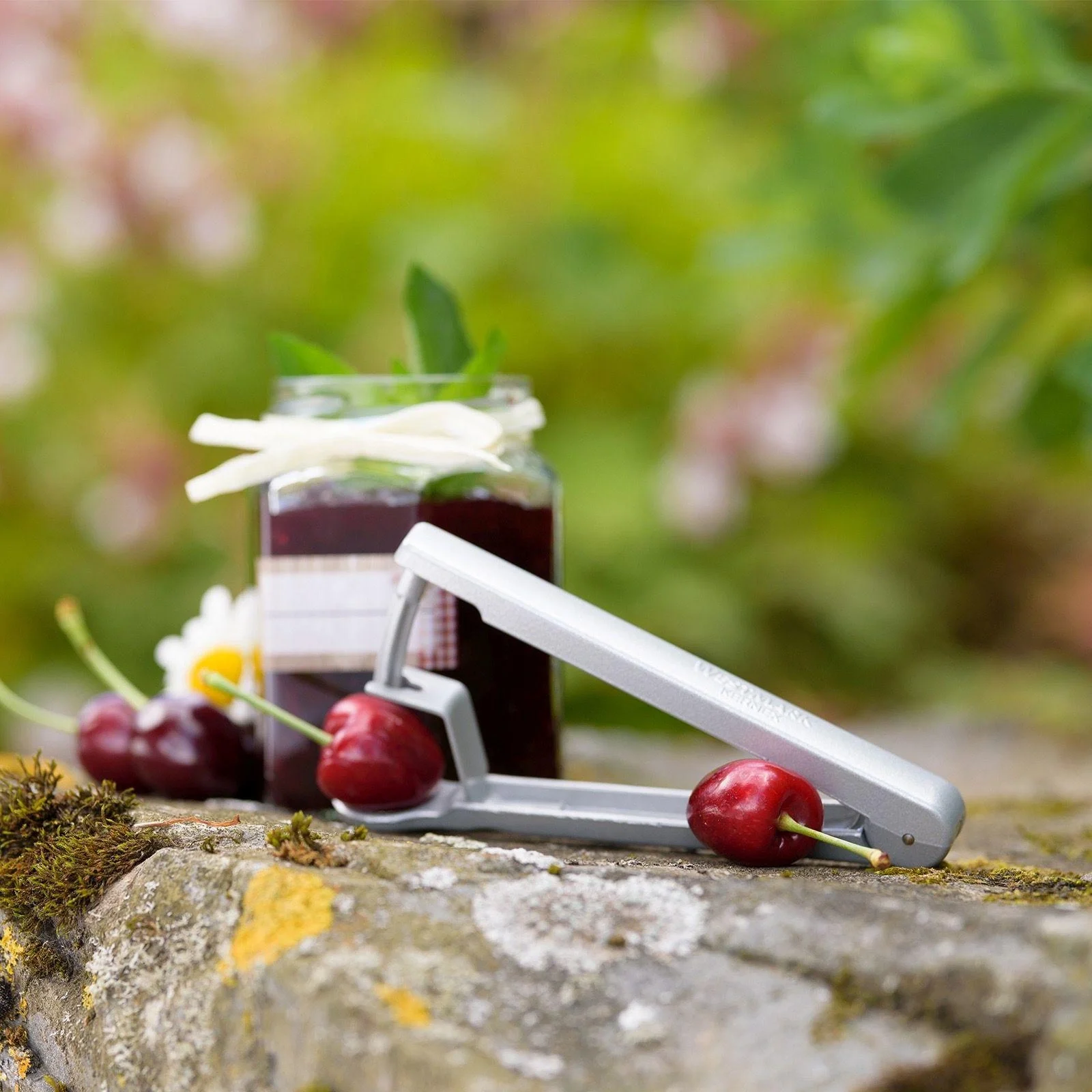 Kirschentkerner "Kernex" - 10