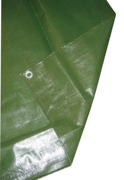 Abdeckplane PolyGuard 1,5 x 6 m - 1