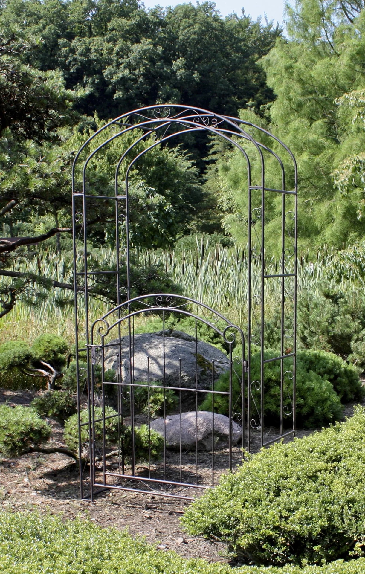 Pforte mit Rosenbogen "Mayon" - 4