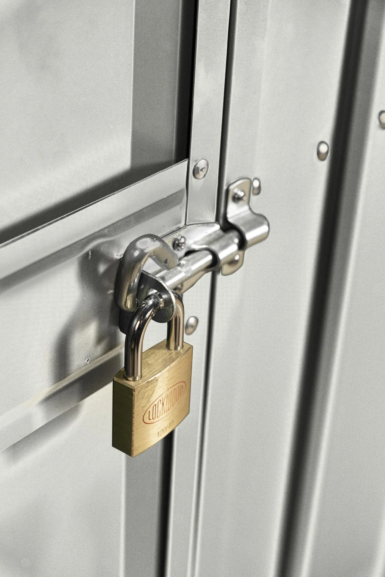 Zusatzschwingtür 176x66 cm, silber metallic, für Skillion, Lean To, Dream - 5