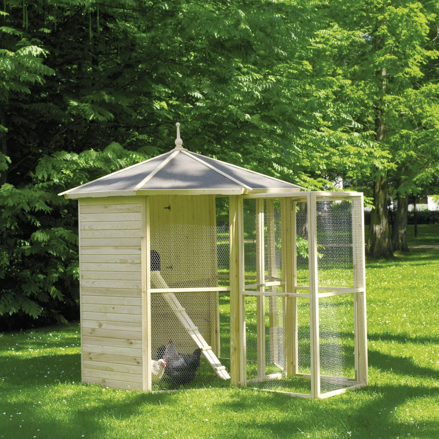 8-eck Voliere mit Vogelkäfig + Eingangsschleuse - 2