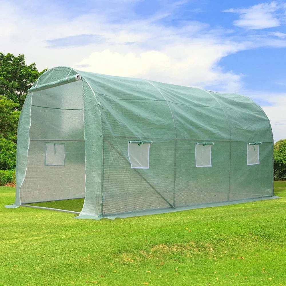 Tomatenhaus mit Fenster grün - 3