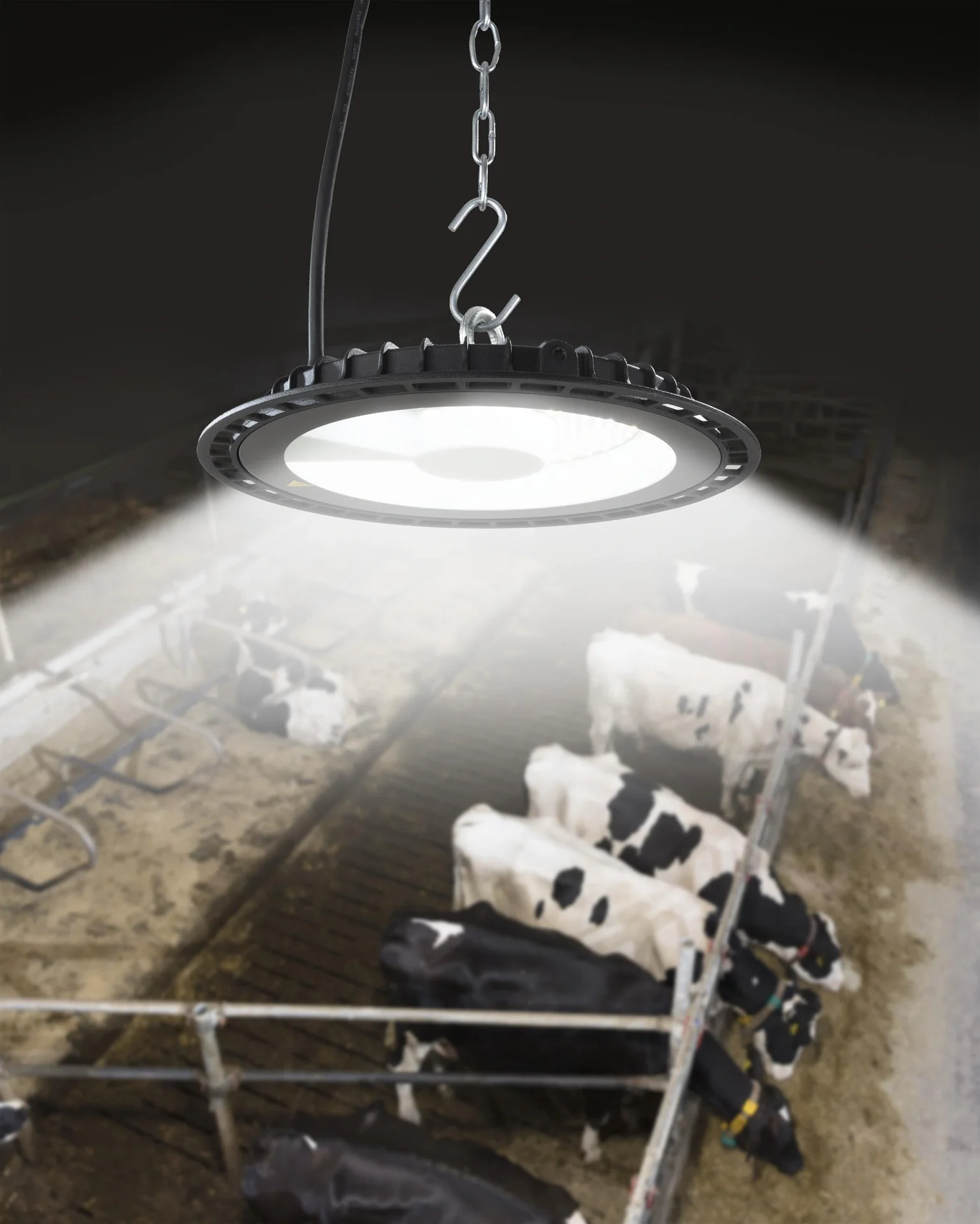 LED-Hallenstrahler, 100 Watt, 11000 Lumen, Lichtfarbe wählbar, fernbedienbar - 7