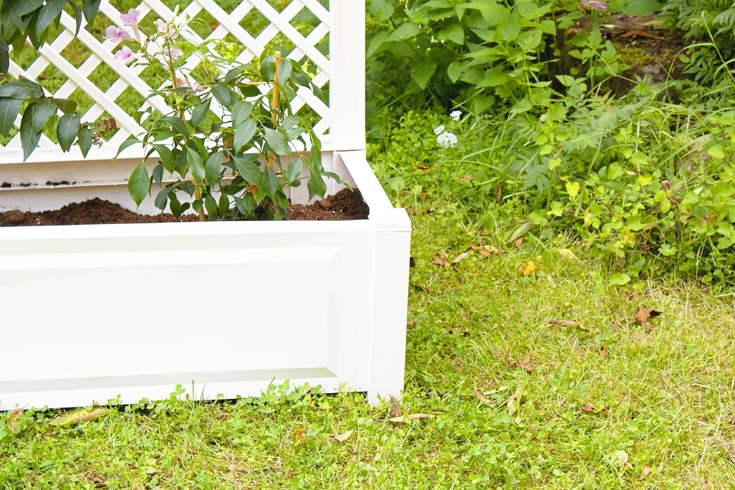 Pflanzkasten 100 cm + Spalier, weiß - 9