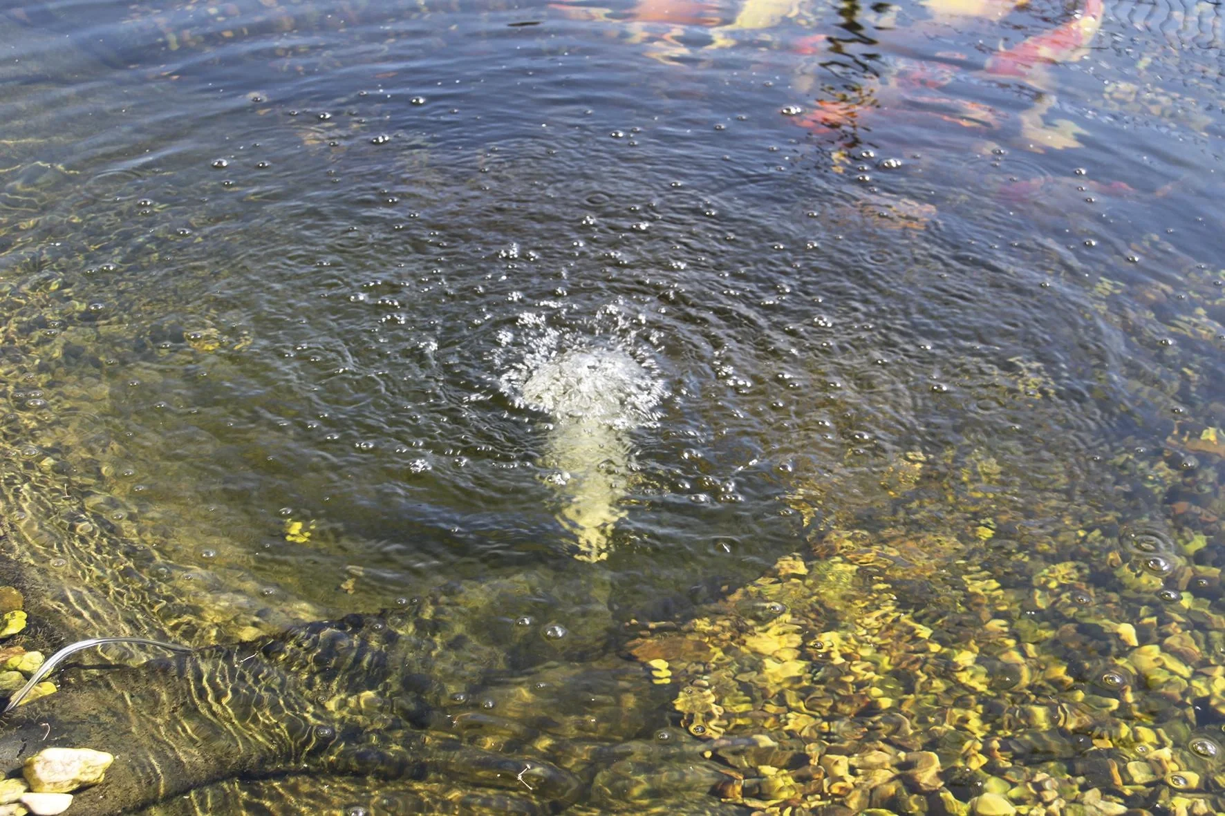 Solar Teichbelüfter "DUO-Air" - 2