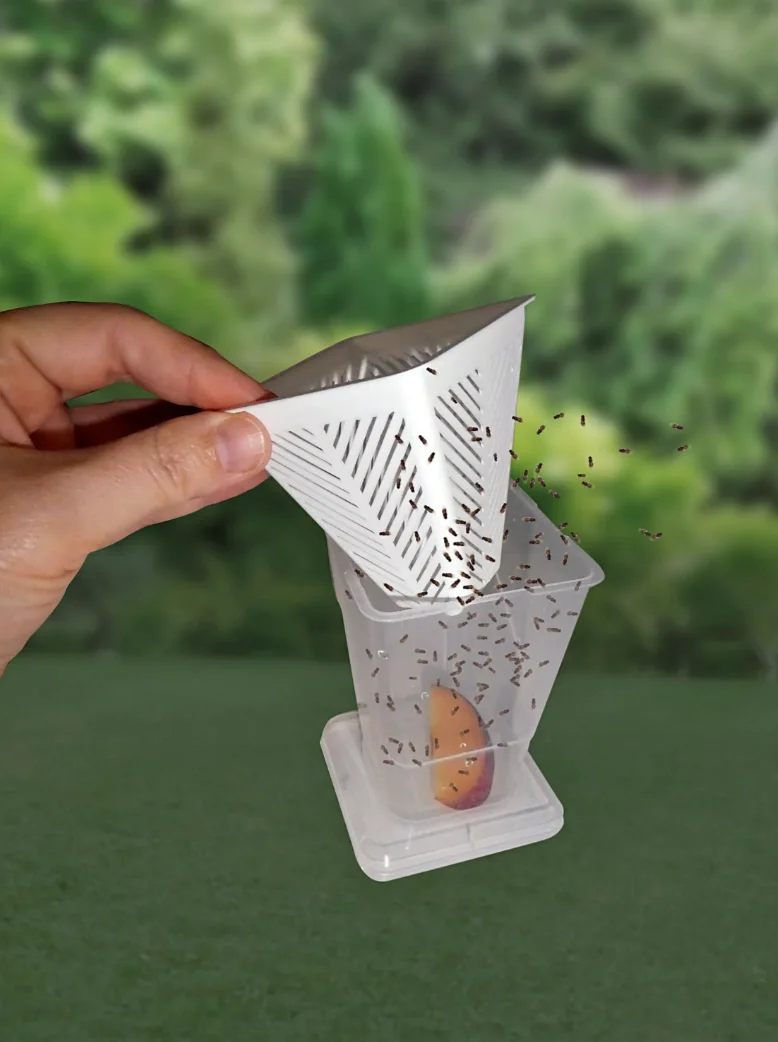 Fruchtfliegenfalle - Lebendfalle - 10