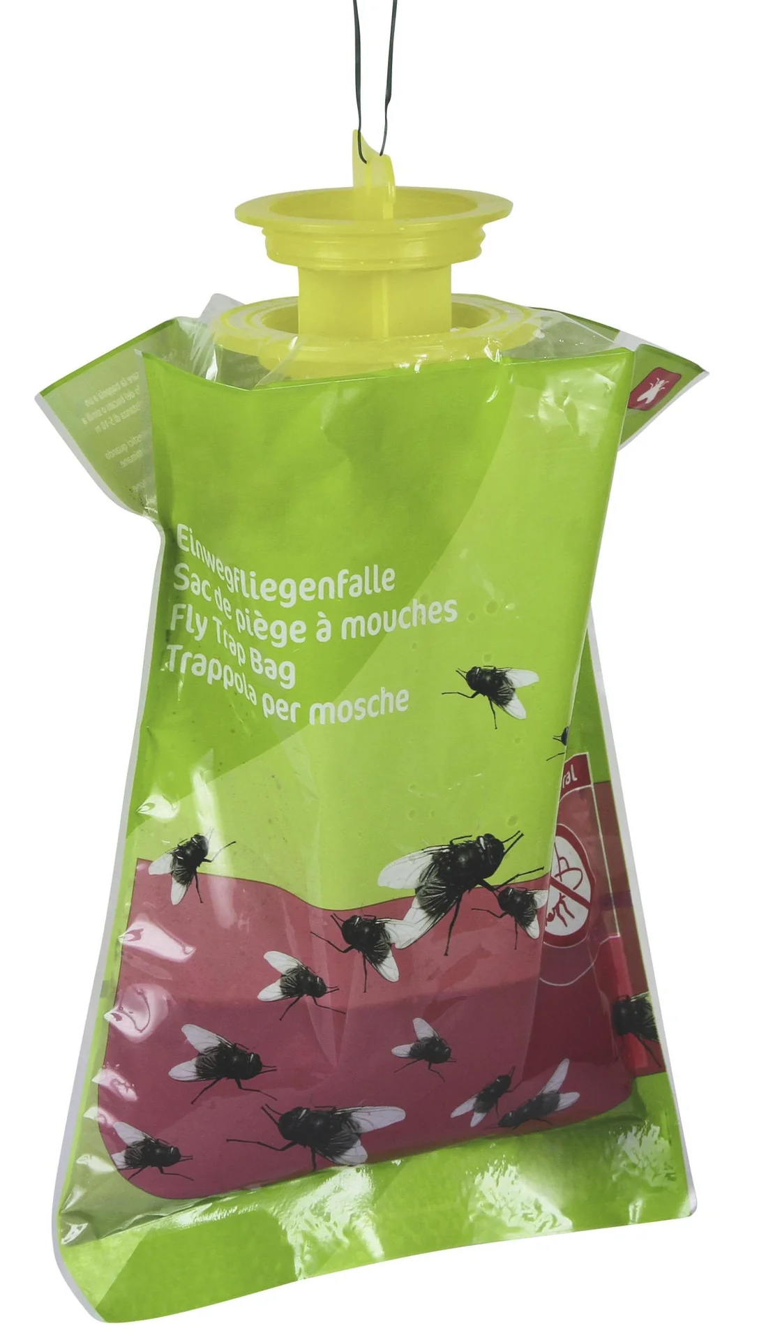 Fliegenfalle Monitoring - 1