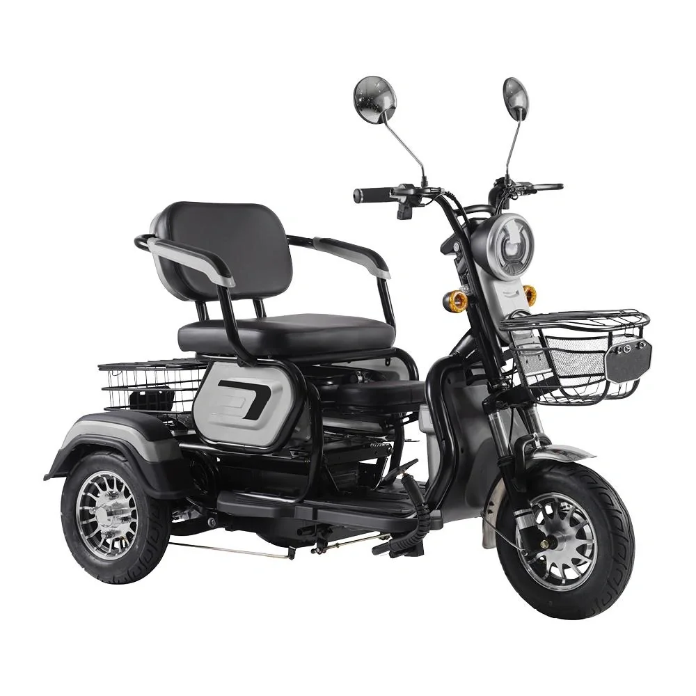 3-Rad E-Mobil Bari 6 km/h: 48V/20Ah Blei-Gel, silber - 2