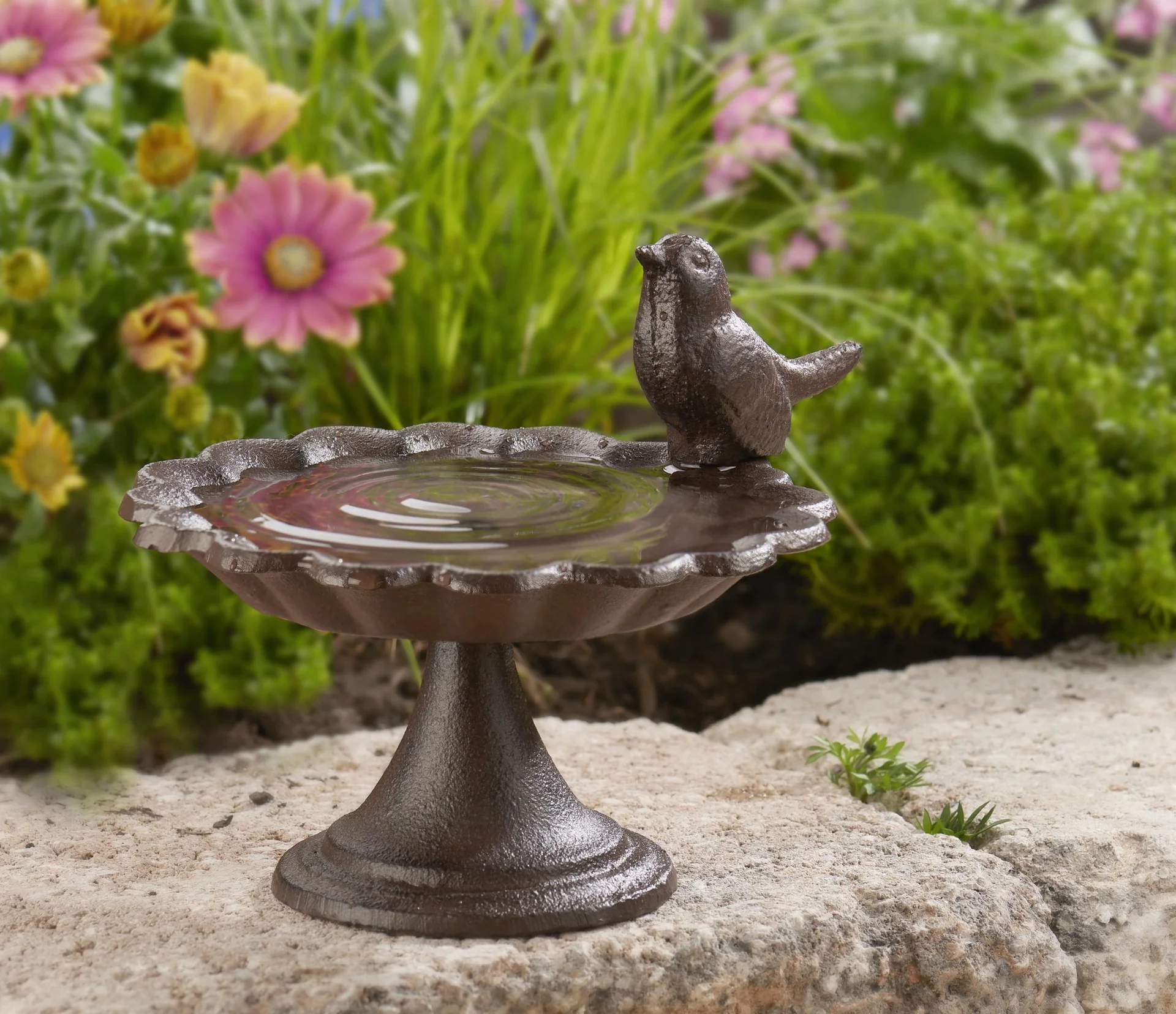 Vogeltränke mit Fuß - 2