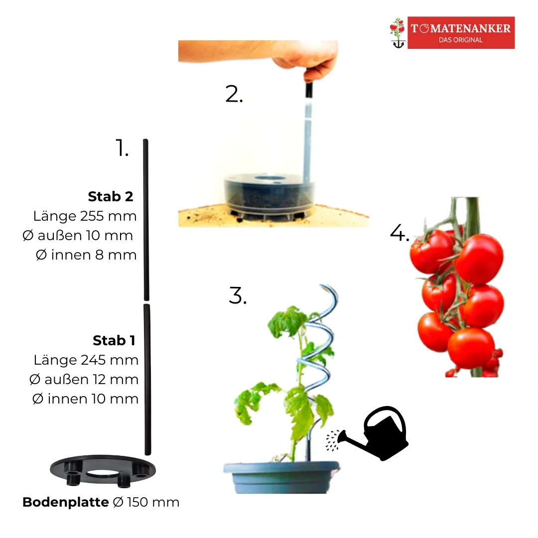 Tomatenanker, 2er-Set - 7