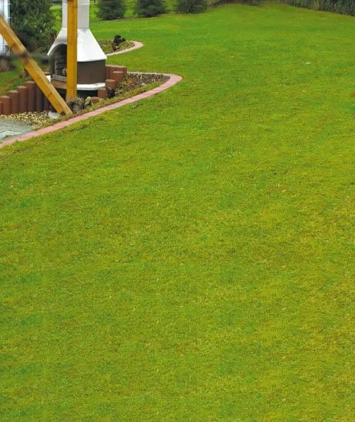 Rasenmäher Harke für Mäher mit Schnittbreite max. 36 cm - 4